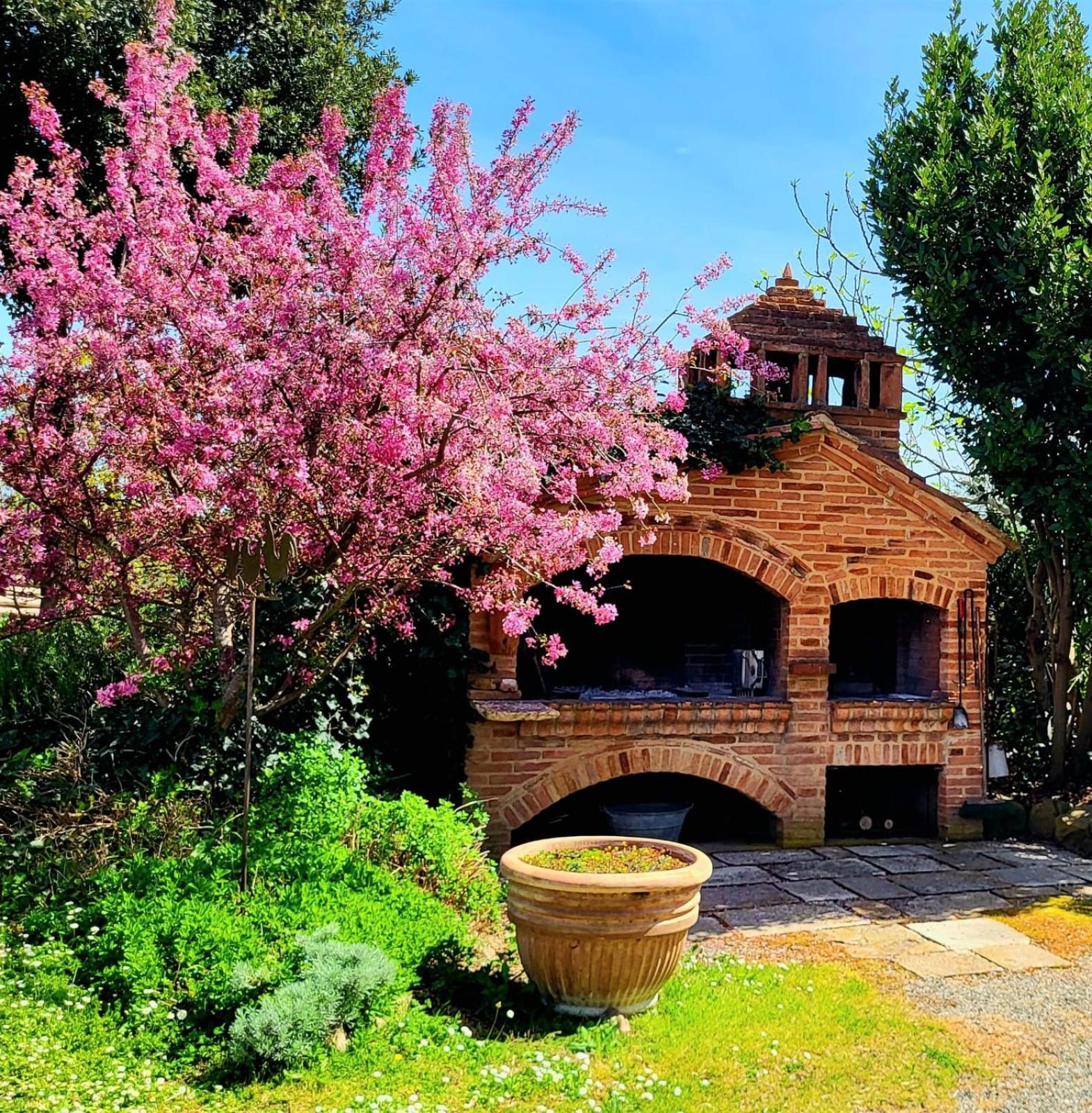Podere Cunina Buonconvento Exteriör bild