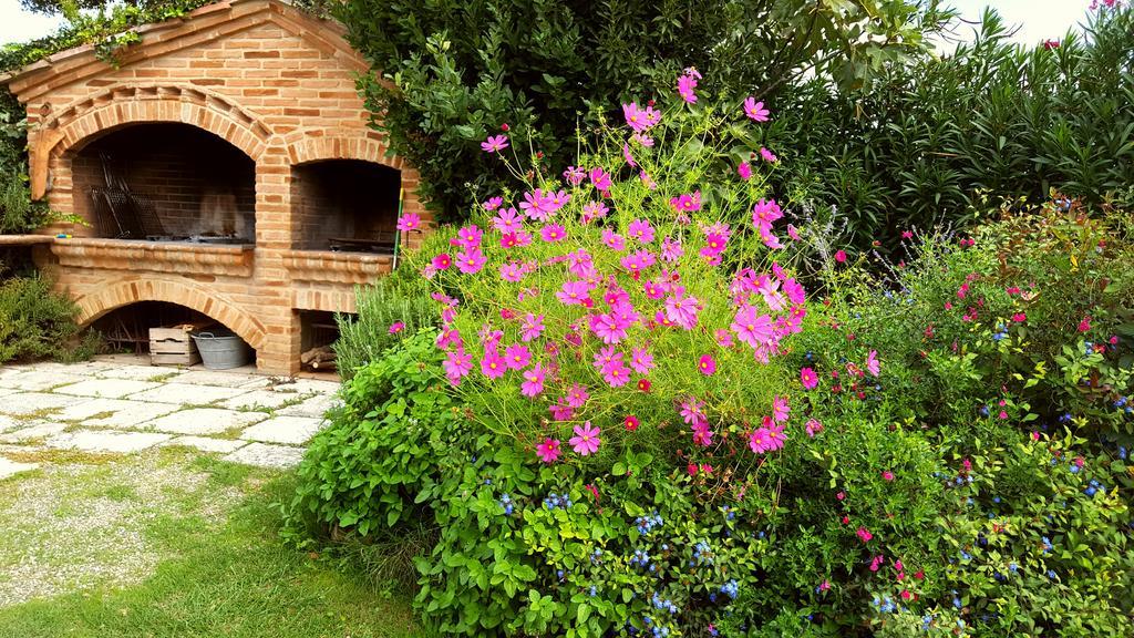Podere Cunina Buonconvento Exteriör bild