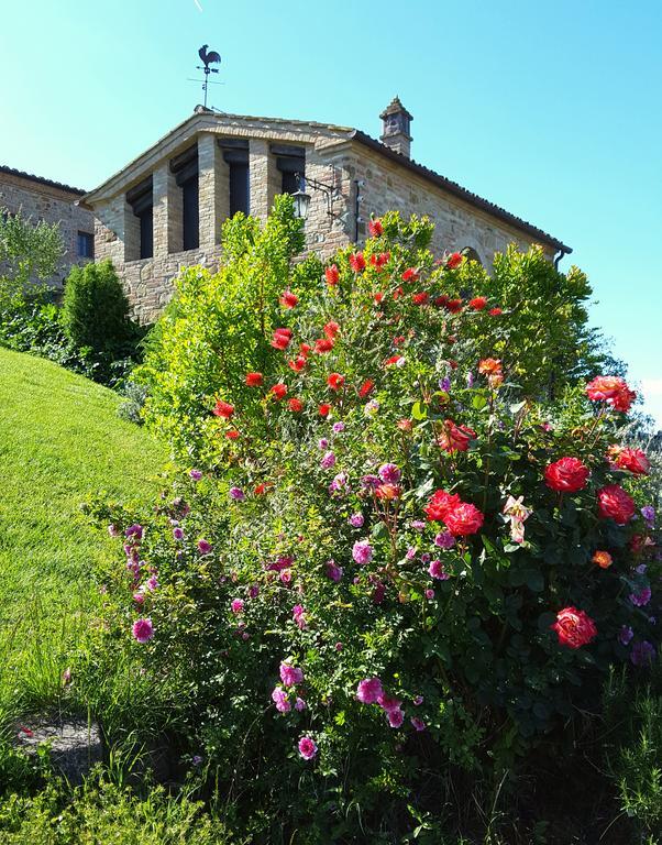 Podere Cunina Buonconvento Exteriör bild
